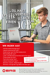 3104 Anzeige alle Berufe 3sp210 PRINT BAG