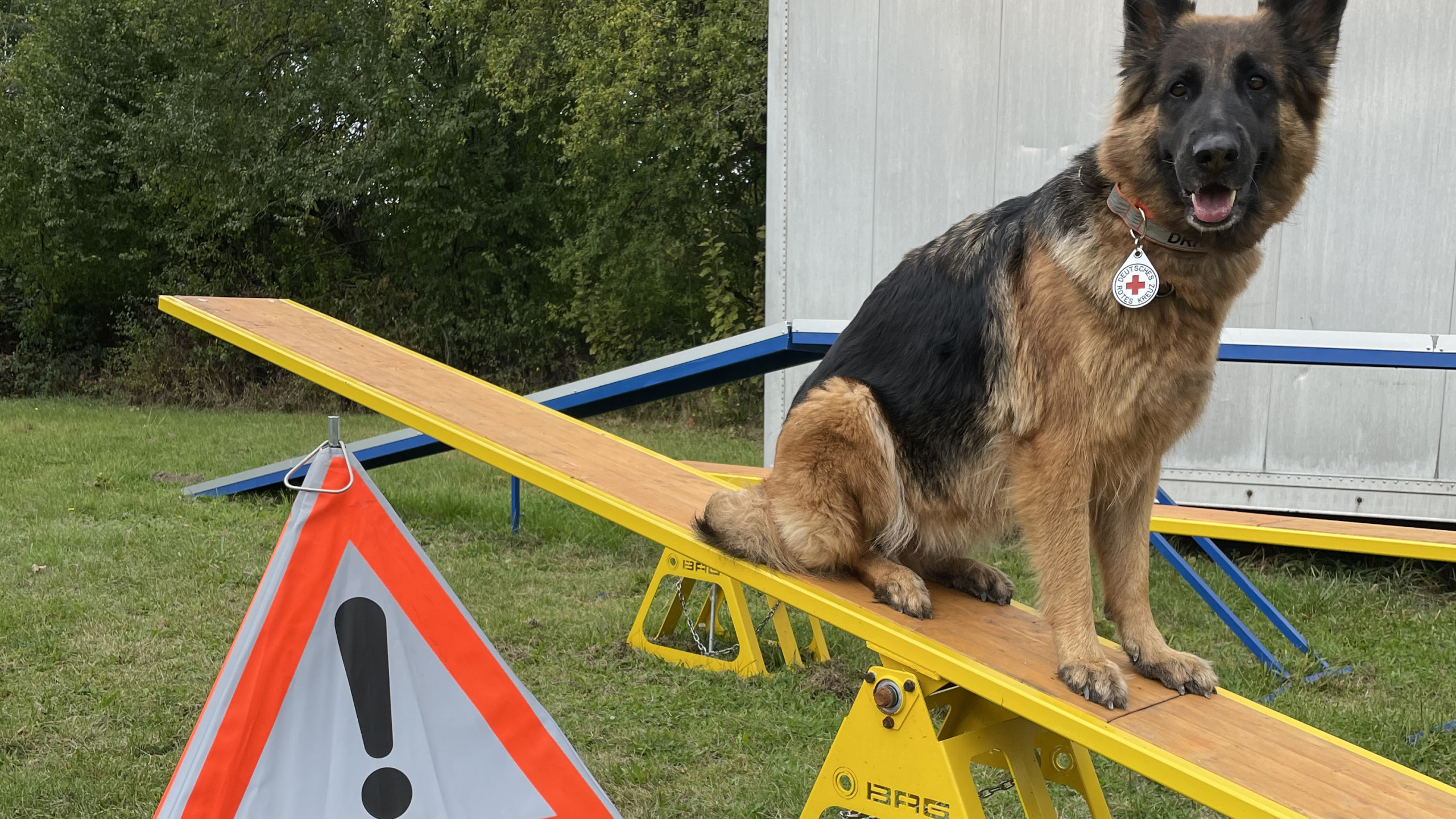 Wippen für die DRK-Rettungshundestaffel Offenburg